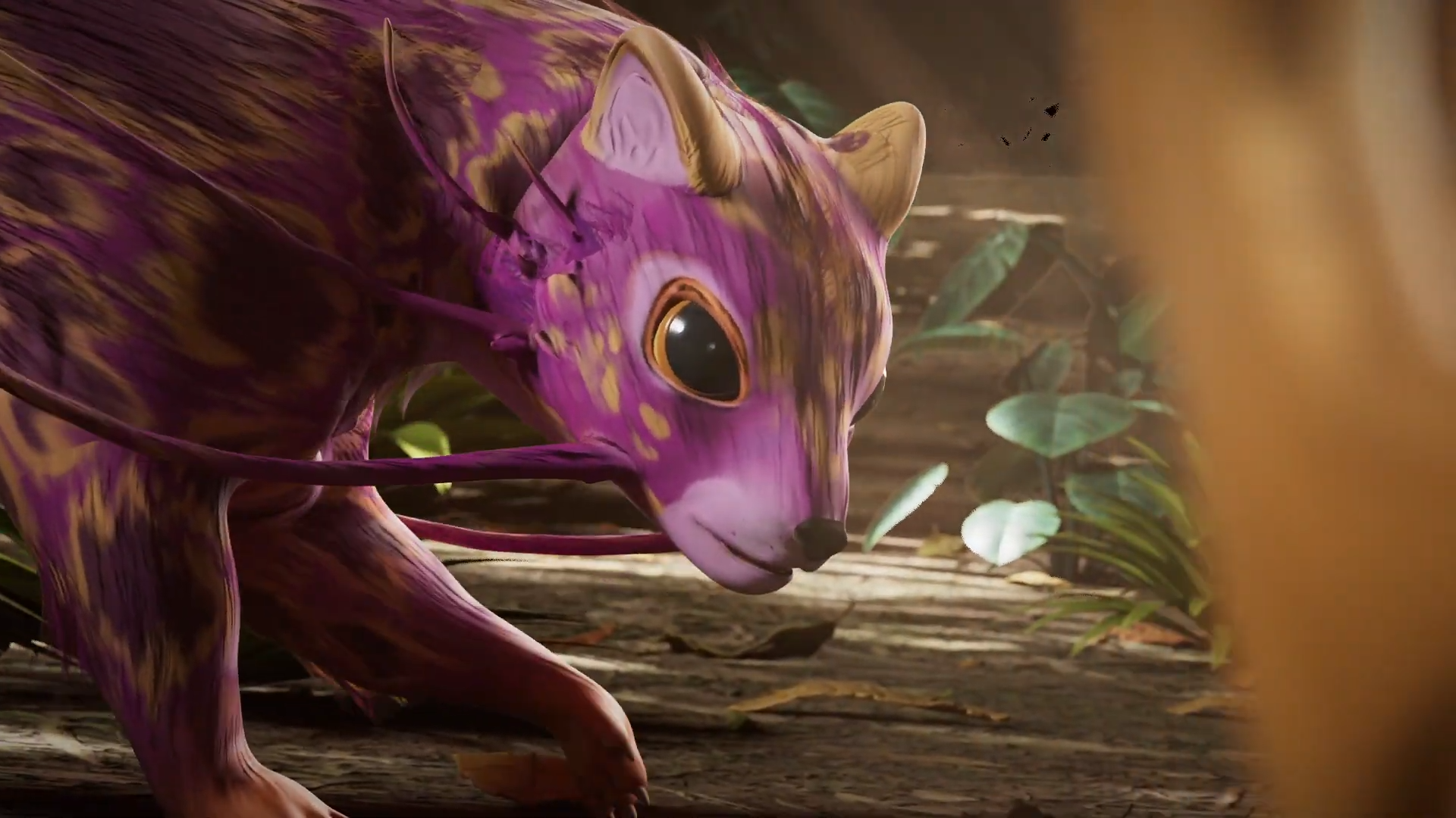 Pink Creature